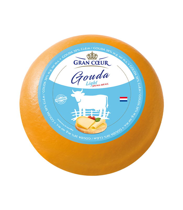 GOUDA-light